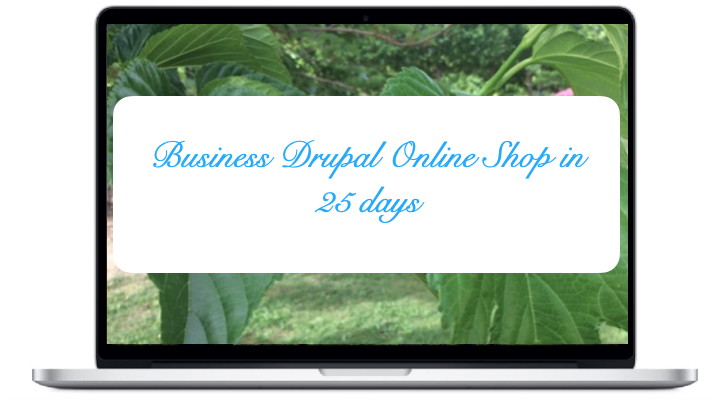 business-drupal-online-shop-in-25-days.png