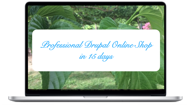 professional-drupal-online-shop-in-15-days.png