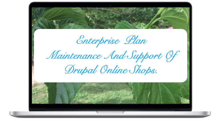 entreprise-maintenance-and-support-drupal-online-shops