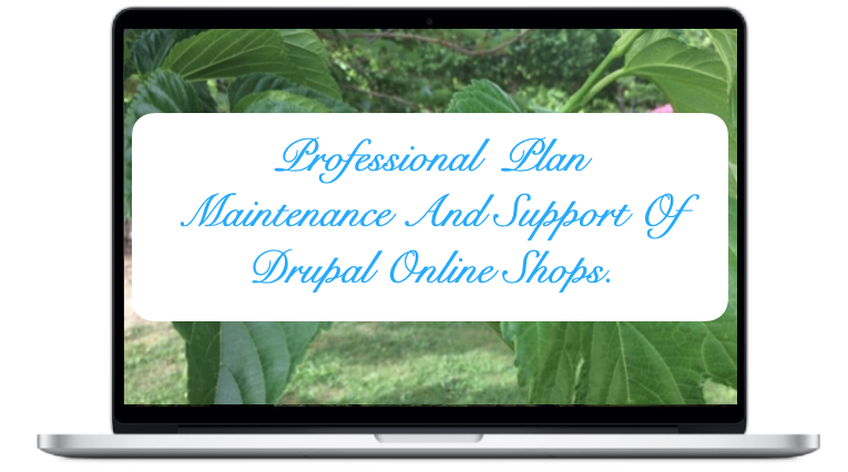 professional-maintenance-and-support-drupal-online-shops