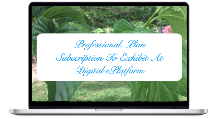 professional-plan-subscription-plan-to-exhibit-at-digital-eplatform_0