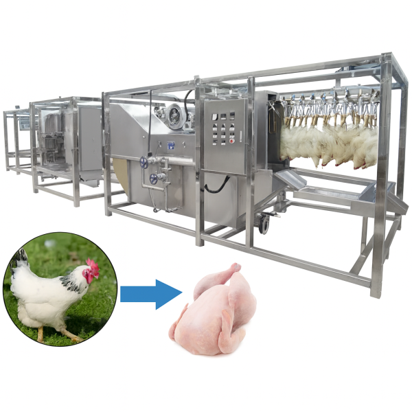 Maximisez votre production avec une ligne d’abattage automatisée performante et hygiénique