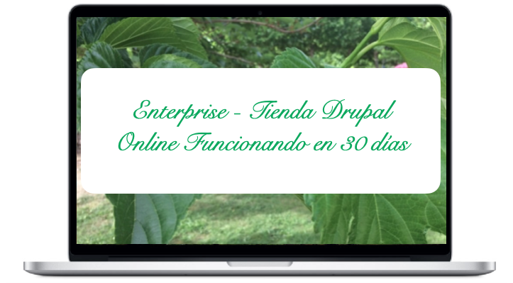 enterprise-tienda-drupal-online-funcionando-en-30-dias_0