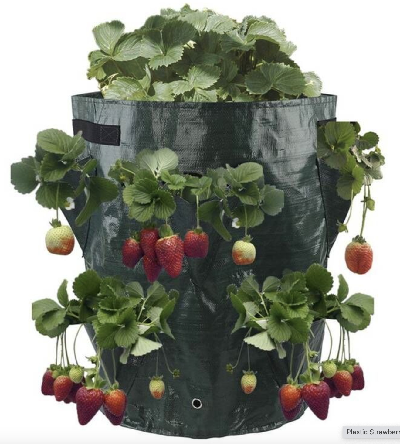 Plastic Strawberry Growing pots with 8 pockets