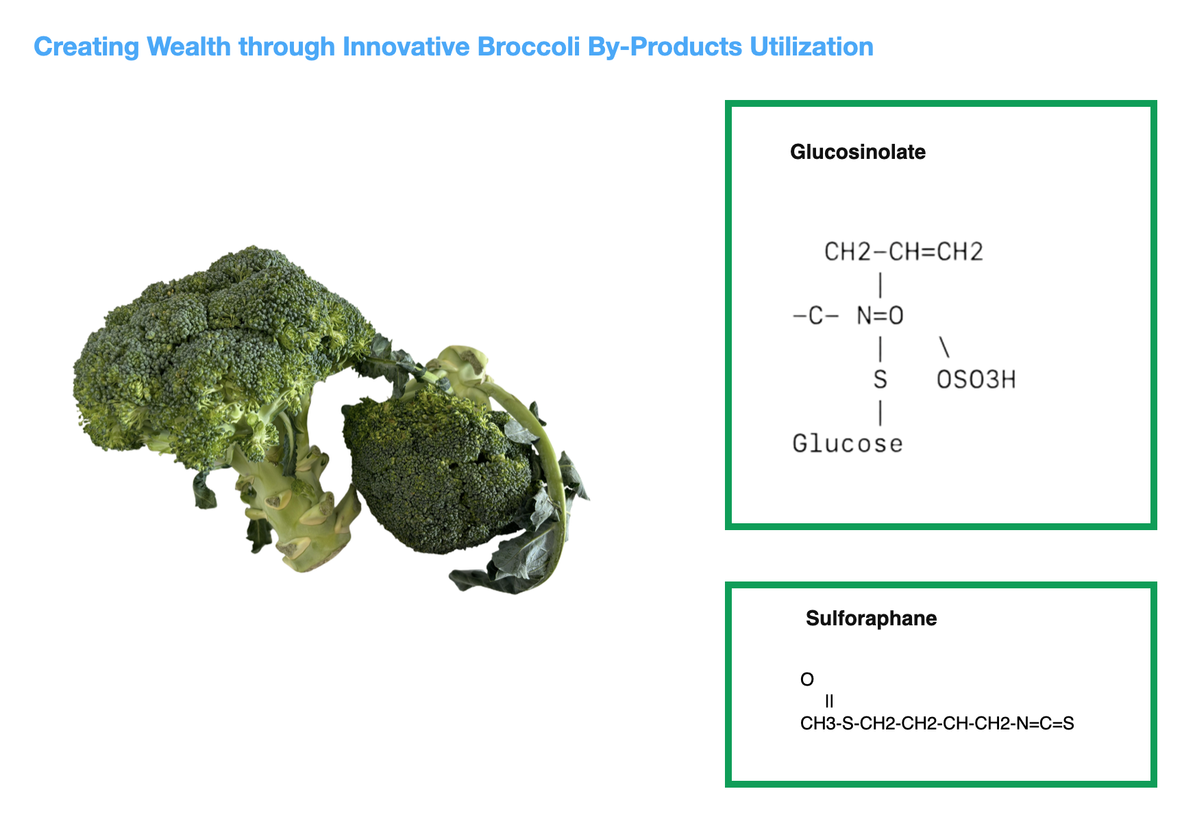 Creating Wealth through Innovative Broccoli By-Products Utilization