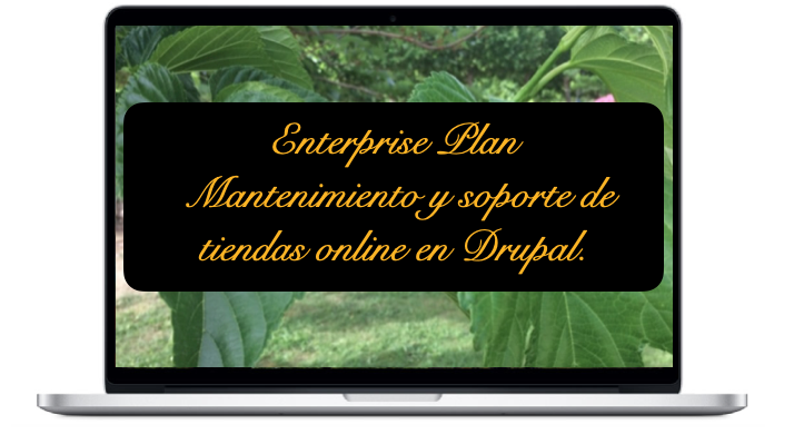 enterprise-mantenimiento-y-soporte-de-tiendas-online-en-drupal_1
