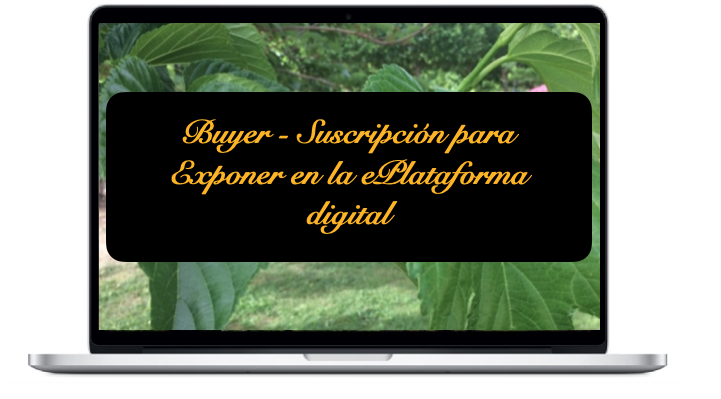buyer-suscripcion-para-exponer-en-la-eplataforma-digital