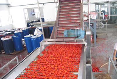 Complete Tomato Paste Processing Line