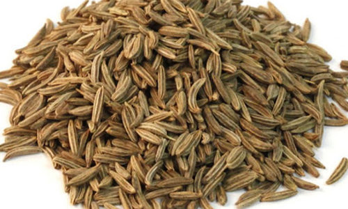 Caraway - Calendula Herbs Spices For Export