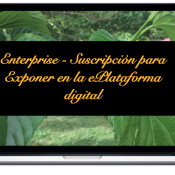 enterprise-suscripcion-para-exponer-en-la-eplataforma-digital